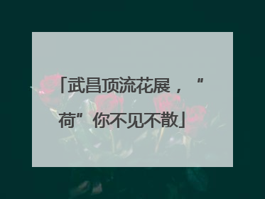 武昌顶流花展，“荷”你不见不散
